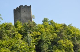 Ruine Freyenstein, © Marktgemeinde Neustadtl an der Donau