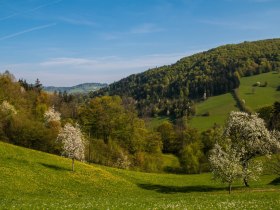 Ausblick von Holzsteig, © Mostviertel