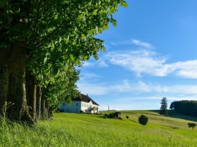 Fruchtbare Wiesen und herrliche Panoramablicke, © VSE, Haslinger Christina