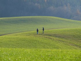 Hegerberg, © Mostviertel Tourismus/@Haus der Elsbeere