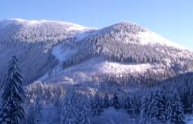 Webcams Lackenhof am Ötscher