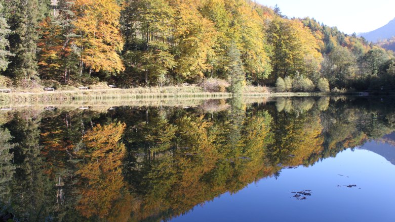 Hinterbergteich, © Gemeinde Hohenberg