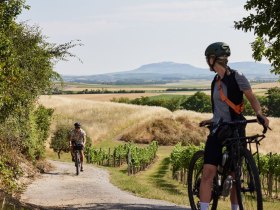 Graveltour Wein findet Stadt, © © Niederösterreich Werbung/ Stefan Mayerhofer