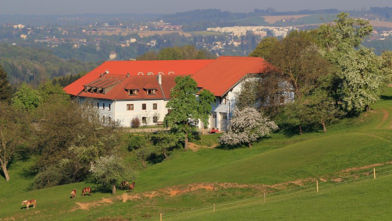 Bauernhof Blümelhub, © Auer Hannes