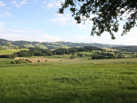 Eine Wanderung mit Weitblick, © VSE, Hilmbauer Lisa Maria