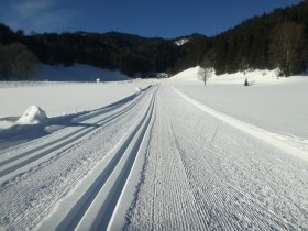 Panoramaloipen, © Nordisches Zentrum St. Aegyd