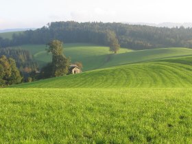 Rückblick Klosterhof, © Mostviertel Tourismus/@Haus der Elsbeere