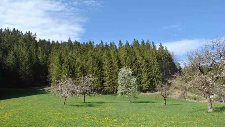 Landschaft hinter dem Haus, © Patrick Leitner