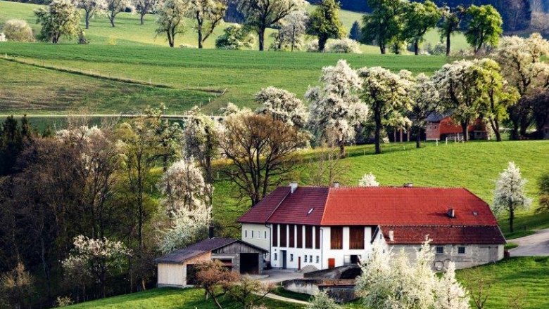 Fotopunkt Karl Lammerhuber Blick, © schwarz-koenig.at