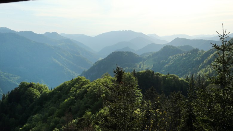 Aussicht von der Aussichtswarte Hochbärneck, © weinfranz.at