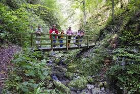 Wanderung Taubenbachklamm, © www.steinschalerwiki.at