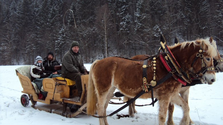 Schlittenfahrt im Winter, © Familie Gasteiner