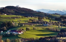 Blick hinauf zur Basilika Sonntagberg, © Mostviertel