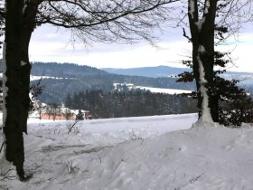 Blick von der Schotterhöhe zum Ostrong, © OEAV Ortsgruppe Blindenmarkt