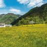 hollensteiner-radtour, © Ferinand Berginc