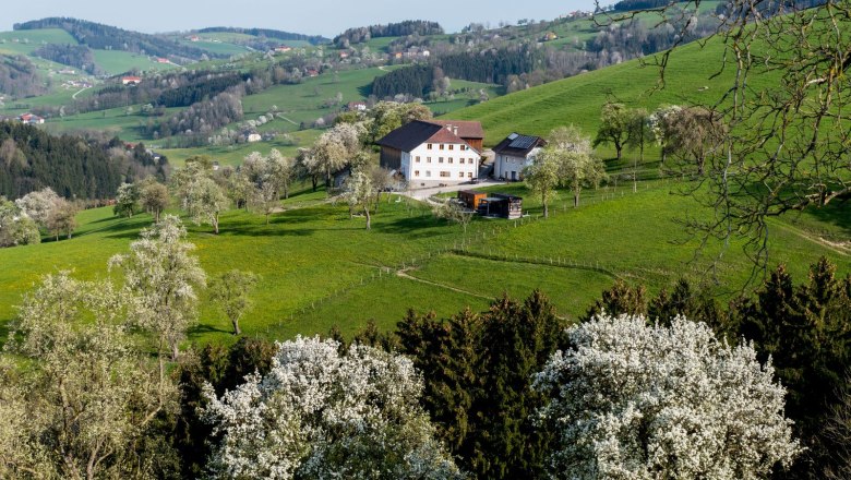 tiny-houses-birner-3, © Sandra Gartlehner