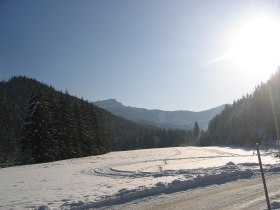 KERNHOFERLOIPEN 3 - 3/3 Gippelloipe, © Nordisches Zentrum St. Aegyd