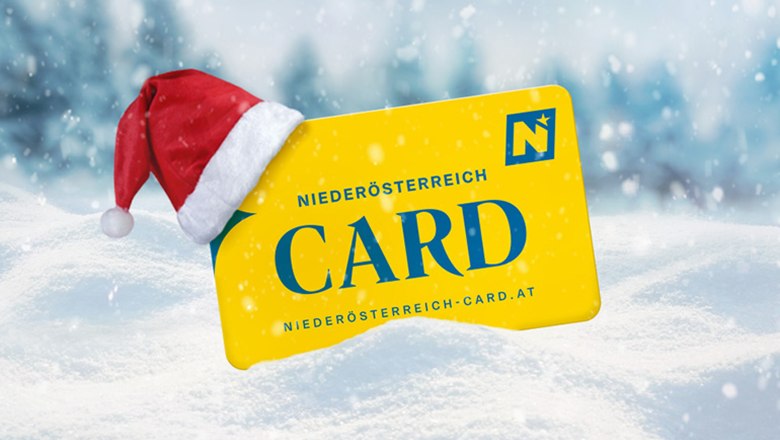 Niederösterreich CARD: Ein ideales Geschenk für Erlebnishungrige, © Niederösterreich-CARD