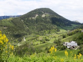 Naturlehrpfad Annaberg, © Mostviertel