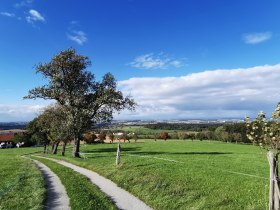 Spurweg Wiesenreith, © Brigitte Hofschwaiger