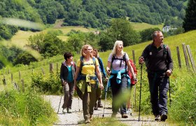 Wandern und Natur genießen, © weinfranz.at