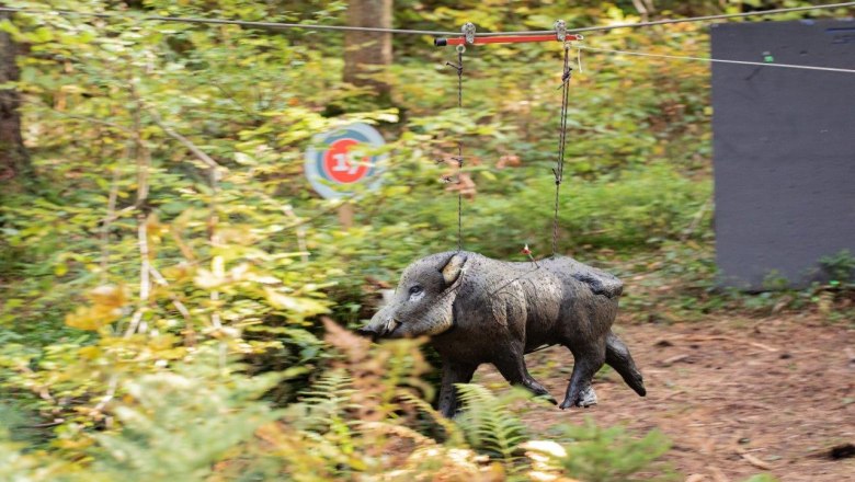 Auch ein "laufendes" Wildschwein gilt es zu treffen, © Ludwig Fahrnberger