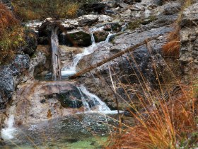 Ursprünglich ist die Natur am Dürrenstein (Copyright: weinfranz.at), © Mostviertel