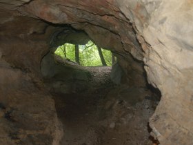 Naturkundliche Wanderung Paulinenhöhle - Sulzbachtal, © Mostviertel