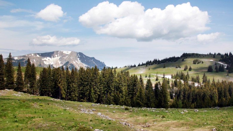 Ötscherblick von der Feldwiesalm, © weinfranz.at