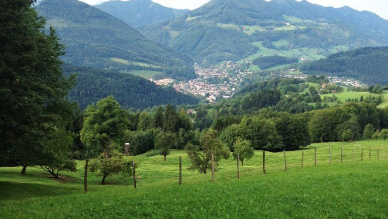 Gschnaider Höhe, © Mostviertel Tourismus