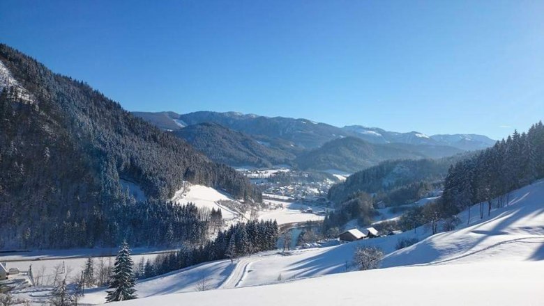 Ausblick vom Bauernhof Seppenbauer im Winter, © Seppenbauer