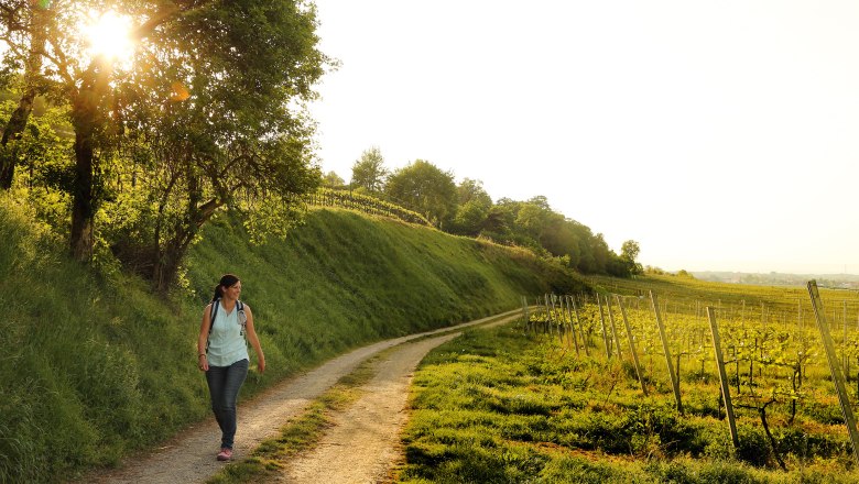 Die aufblühende Natur im Traisental genießen, © weinfranz.at