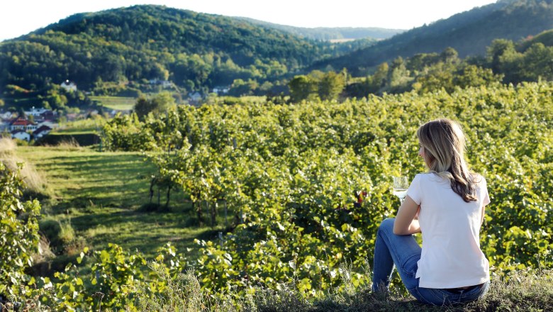 Landschaft und Wein genießen im Weinland Traisental