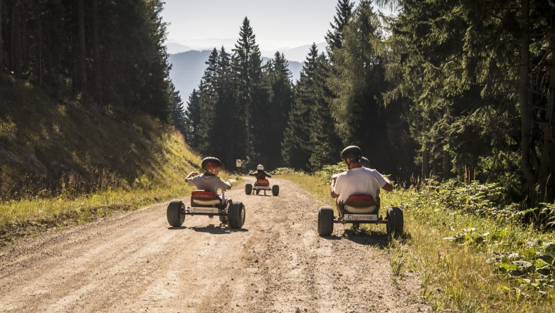 Mit den Mountaincarts die Gemeindealpe hinuntersausen, © Robert Herbst