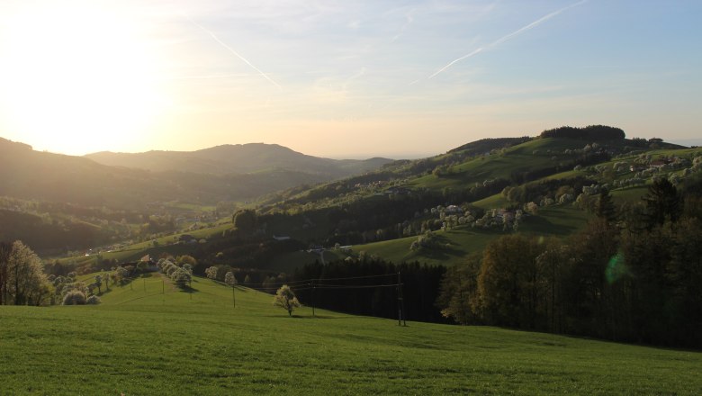 Aussichtswarte Voralpenblick: Richtung Westen, © Pöchacker - Mostviertel Tourismus