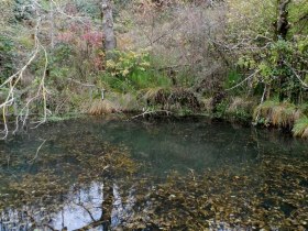 Kleiner Teich unterhalb des Hochkogels, © Mostviertel - OÖ Mariazellerweg