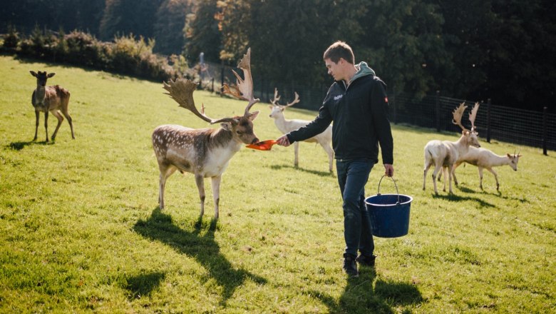 Wildpark Hochriess, © Andreas Zehetner