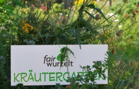 Kräutergarten, © fairwurzelt