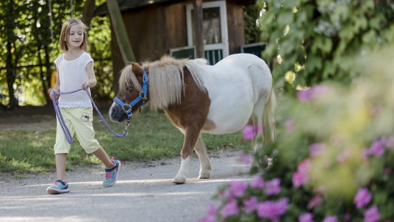 Pony Führen, © schwarz-koenig.at