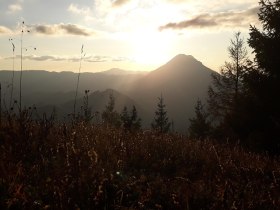 Blick in Richtung Ötscher, © Veronika Griessl