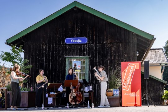 Musikalische Einstimmung auf die Wanderung mit dem no string quartet, © Fred Lindmoser