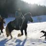 Horse riding farm "Maho", © MAHO