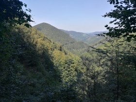 Aussicht am Wasserfallsteig, © Roman Zöchlinger