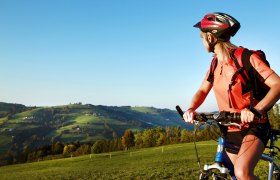 Radfahren am Panoramahöhenweg, © weinfranz.at