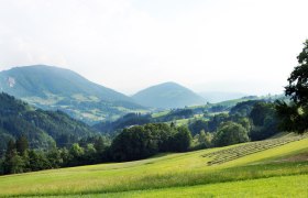 Panorama-Ausblicke rund um Ybbsitz, © Mostviertel