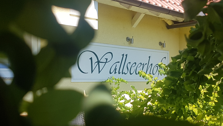 Wallseerhof, © Patzalt