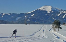 Langlaufen am Fuße der Gemeindealpe, © Fred Lindmoser