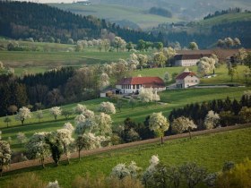 Fotopunkt Karl Lammerhuber Blick Südosten, © schwarz-koenig.at