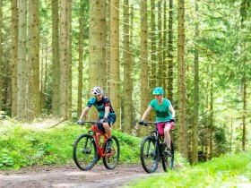 MTB_Wald, © Wolfgang Wutzl