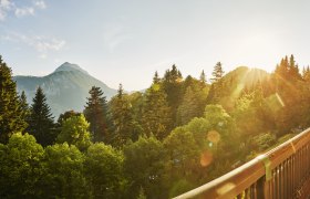 Ausblick auf den Ötscher, © Michael Liebert